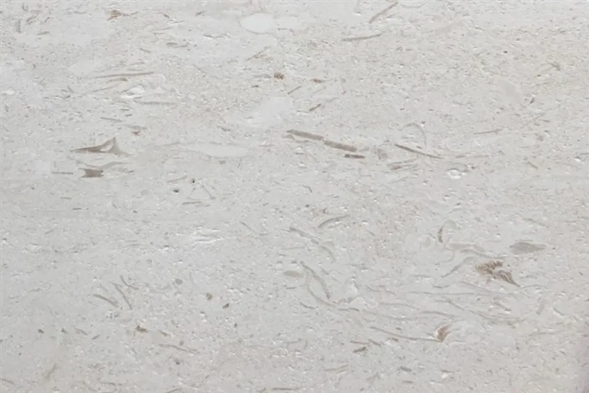 Fossil Limestone